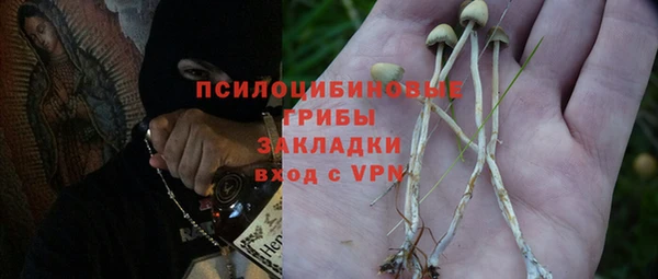 прущая мука Зеленодольск