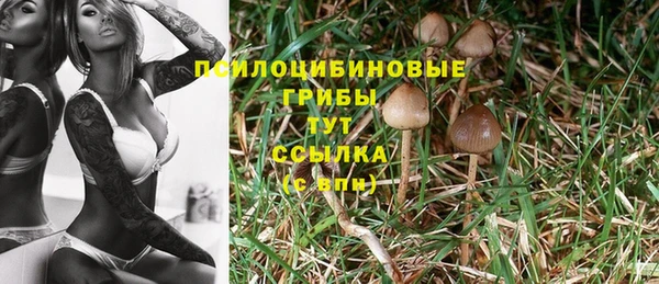 шишки Киреевск