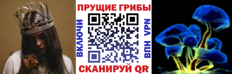 Псилоцибиновые грибы Psilocybe  Кемерово 