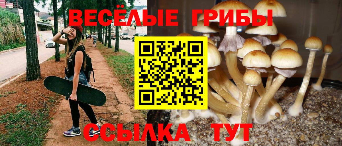 Галлюциногенные грибы Psilocybe  дарнет шоп  Кемерово  Вход с VPN 